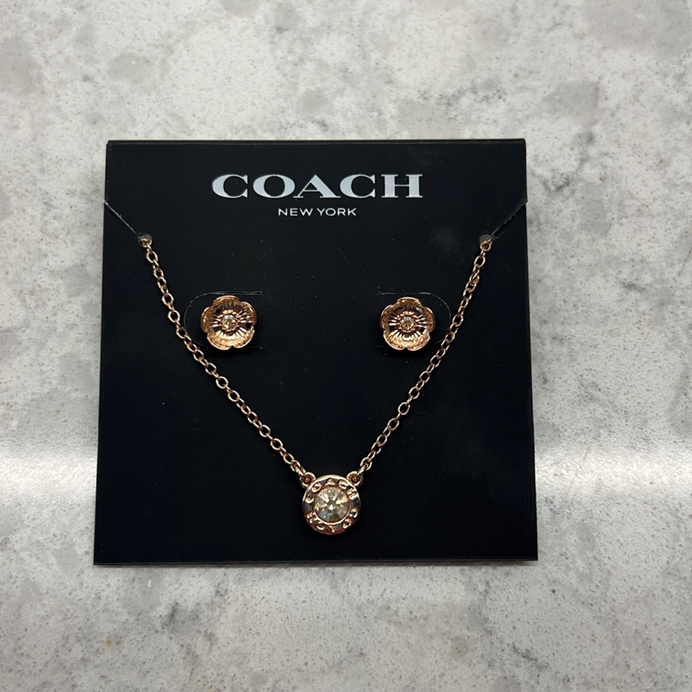 Coach Rose Gold Necklace and Earrings Set